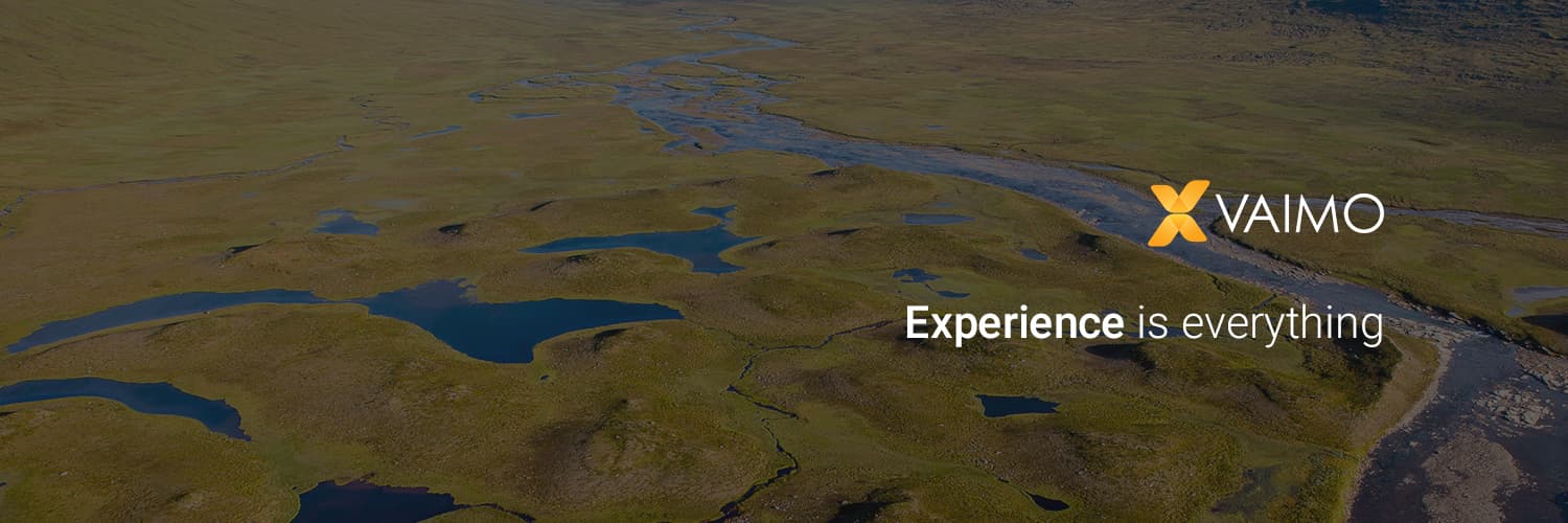 Copy of Vaimo header 1500x500 Twitter 2023